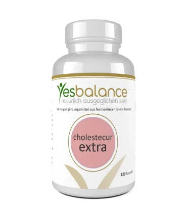 YesBalance Cholestecur Extra – Fermentierter Reis-Extrakt & Q10